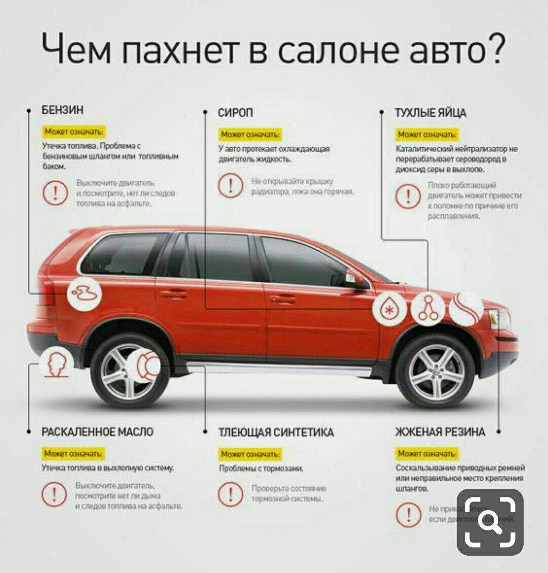 Как убрать запах тухлятины из машины: способы и средства - truehunter.ru