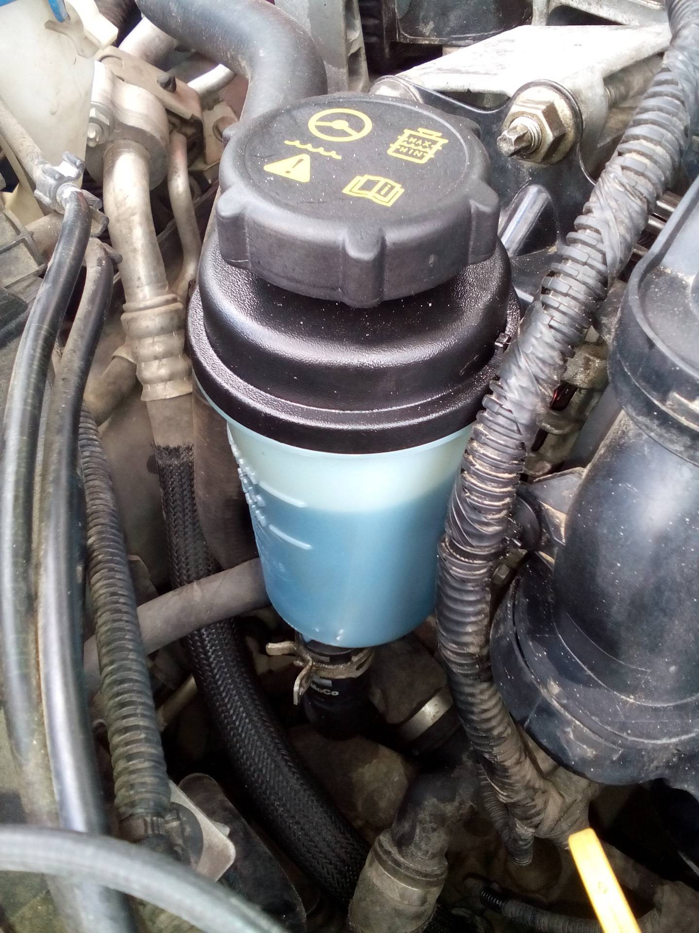 Замена жидкости гур форд фокус 2 – подробное пособие для новичков | всё про автомобили. новости, тест-драйвы, советы.