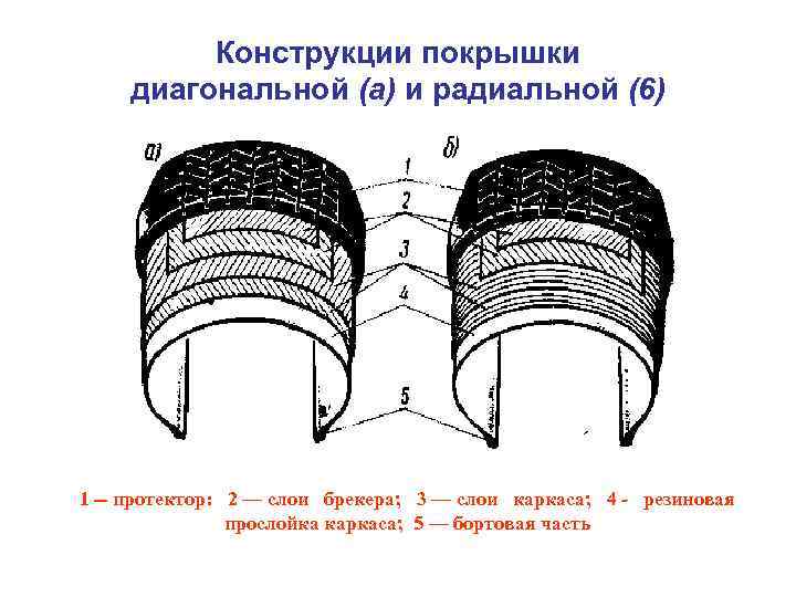 Радиальные и диагональные шины - разница в строении, чем отличаются?