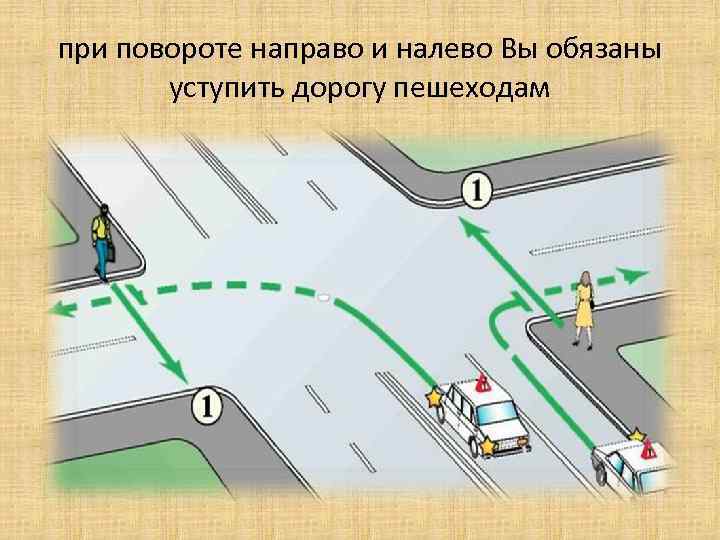Штраф за то, что не пропустил пешехода на пешеходном переходе (зебре): подробный разбор ситуаций, в которых водитель обязан уступать