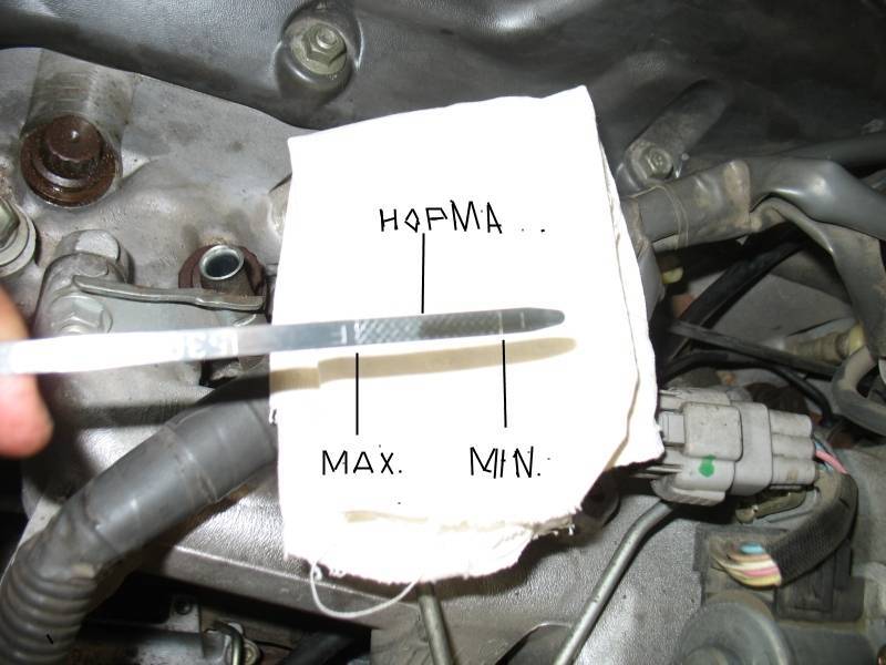 Как проверить уровень масла в двигателе автомобиля: описание как правильно измерять щупом для проверки масляной жидкости в моторе