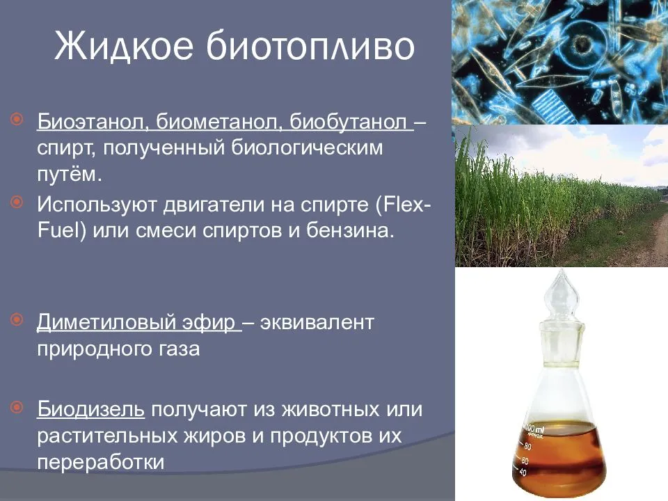 Жидкое биотопливо из сырья растительного происхождения. часть 2