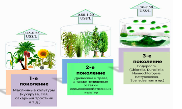 Что такое биотопливо, его виды и преимущества?