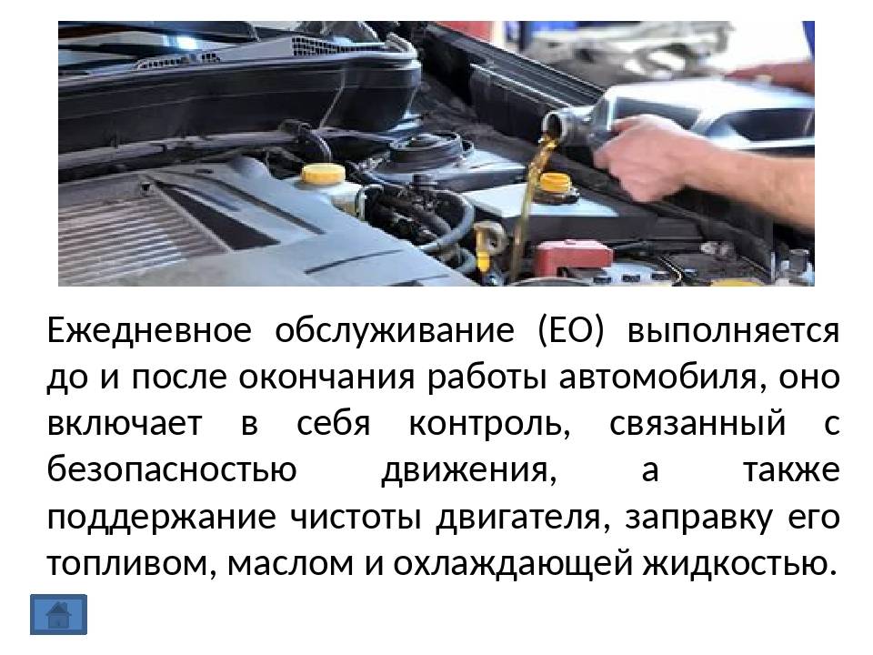 Виды технического обслуживания автомобилей и спецтехники: разбор от а до я, какие существуют, приказ 555 и их количество
