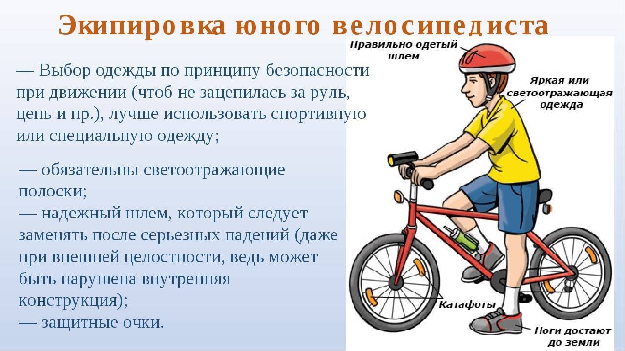 ПДД для велосипедистов – указания, запреты, безопасность!